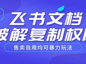 首发飞书文档破解复制权限,售卖自用均可暴力玩法
