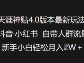 天涯神贴4.0版本最新玩法,抖音·小红书自带人群流量,新手小白轻松月入过W
