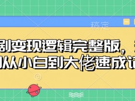 短剧变现逻辑完整版,短剧从小白到大佬速成记