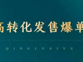 高转化发售爆单,引爆私域成交,打破运营全链