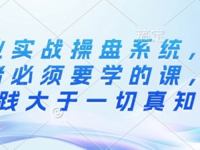 创业实战操盘系统,创业者必须要学的课,实践大于一切真知