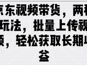 京东视频带货,两种玩法,批量上传视频,轻松获取长期收益