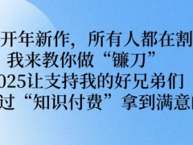 2025年开年新作,所有人都在割韭菜,我来教你做“镰刀” 2025让支持我的好兄弟们都可以通过“知识付费”拿到满意的成绩【揭秘】