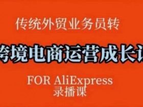 跨境电商速卖通运营课,运营方法论+后台实操,逻辑清晰
