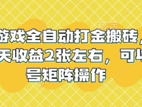 老款游戏全自动打金搬砖,单号一天收益2张左右,可以多号矩阵操作【揭秘】