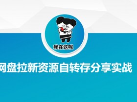 网盘拉新资源自动转存分享实战