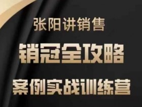 张阳讲销售实战训练营,案例实战训练,销冠全攻略