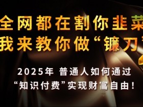全网都在割你韭菜,我来教你做镰刀,2025年普通人如何通过 知识付费 实现财F自由【揭秘】