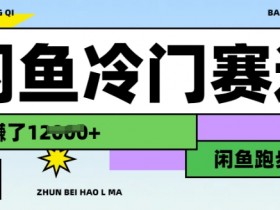 闲鱼冷门赛道,跑步挣钱,有人一个月挣了1.2w