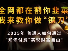 全网都在割你韭菜,我来教你做镰刀,2025普通人如何通过知识付费,实现财F自由【揭秘】