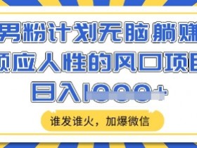 男粉计划无脑躺Z,顺应人性的风口项目,谁发谁火,加爆微信,日入多张【揭秘】