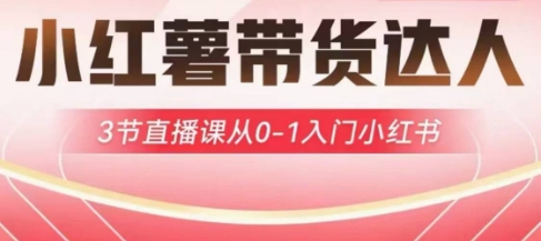 小红薯达人带货启航计划,3节直播课从0-1入门小红书