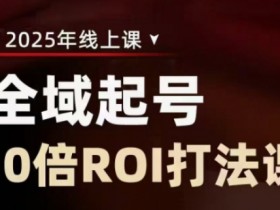 2025全域起号10倍ROI打法课,助你提升直播间的投资回报率