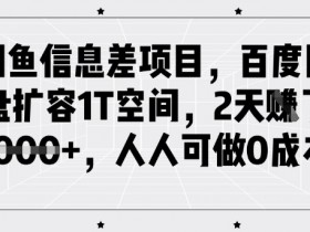 闲鱼信息差项目,百度网盘扩容1T空间,2天收益1k+,人人可做0成本