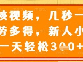 审核视频,几秒一单,多劳多得,新人小白一天轻松3张【揭秘】