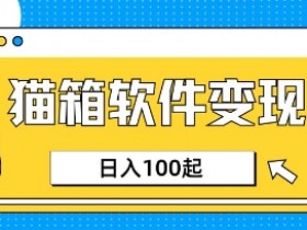 小众AI赛道,猫箱APP挣取收益,上班族专属小项目,日入100-150