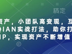 个人IP资产,小团队高变现,互联网全链路赚QIAN实战打法,助你打造个人IP,实现资产不断增值