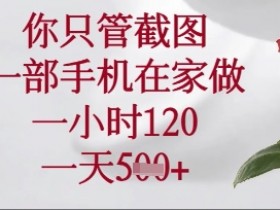 你只管截图,一部手机在家操作,一小时120.一天5张【揭秘】