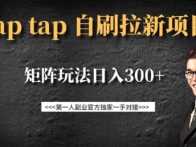 taptap拉新自刷项目,一个新用户14元,矩阵玩法日入300+