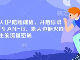 小红书个人IP陪跑课程,开启你职业生涯的PLAN-B,素人也能火成为百万博主的流量密码