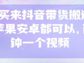 299买来抖音带货搬运技术,苹果安卓都可以,两分钟一个视频