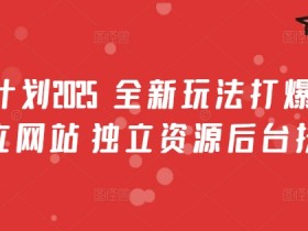 男粉计划2025  全新玩法打爆流量 独立网站 独立资源后台扶持【揭秘】