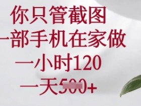 你只管截图,一部手机在家做,一小时120.一天5张【揭秘】