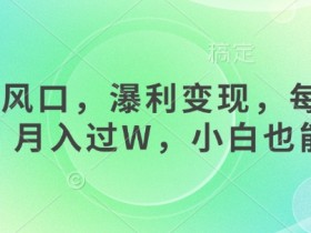 女杏商风口,瀑利变现,每天1小时,月入过W,小白也能做