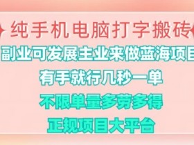 纯手机电脑打字搬砖,有手就行,几秒一单,多劳多得,正规项目大平台【揭秘】