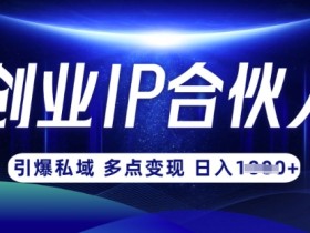 云帆·创业ip合伙人打造3.0,从0到1教你做网创,实现月入过W