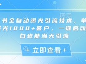 小红书全自动曝光引流技术,单日精准曝光1000+客户,一键启动,小白也能当天引流【揭秘】