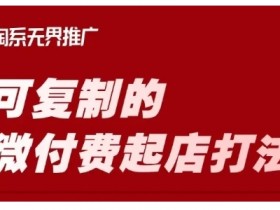 淘宝可复制的微付费起店打法,带你掌握可复制的微付费起店打法