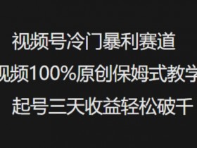 视频号冷门暴利赛道视频100%原创保姆式教学起号三天收益轻松破千