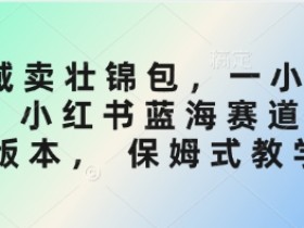 私域卖壮锦包,一小时3张,小红书蓝海赛道3.0版本, 保姆式教学