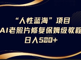 人性蓝海AI老照片修复项目保姆级教程,长期复购,轻松日入5张