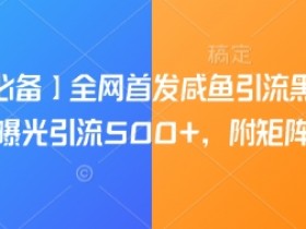 【引流必备】全网首发咸鱼引流黑科技,单日曝光引流500+,附矩阵玩法【揭秘】
