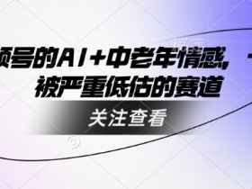 视频号的AI+中老年情感,一个被严重低估的赛道