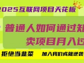 2025互联网项目天花板,普通人如何通过知识付费卖项目月入过W,拒绝当韭菜【揭秘】