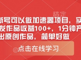 0粉新号可以做的加速器项目,实测首发作品收益100+,1分钟产出原创作品,简单好做