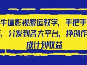 2025最牛逼影视搬运教学,手把手教你操作,分发到各大平台,挣创作者分成计划收益