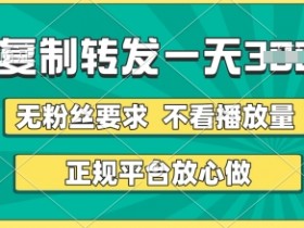 转发视频一天3张+,正规平台放心做,不看播放量,无粉丝要求,随时随地挣收益【揭秘】