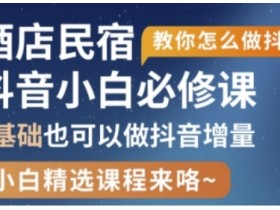 抖音本地生活酒店民宿运营,0基础也可以做抖音增量