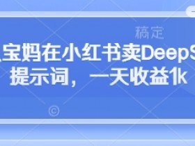 全职宝妈在小红书卖DeepSeek提示词,一天收益1k