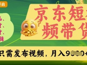 京东短视频带货,开启零门槛躺Z新时代【揭秘】