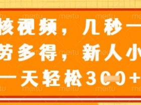 最新审核视频,几秒一单,多劳多得,新人小白一天轻松3张【揭秘】