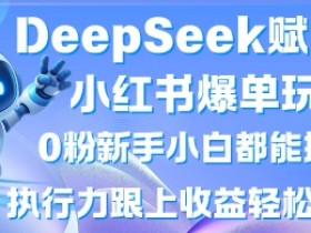 DeepSeek赋能小红书爆单玩法0粉新手小白都能操作,执行力跟上收益轻松上W,懒人勿做