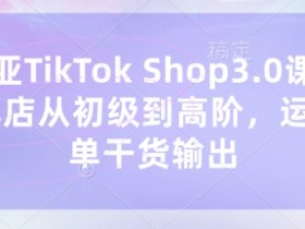 东南亚TikTok Shop3.0课程,TK小店从初级到高阶,运营出单干货输出