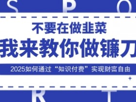 韭菜生涯终结者,我来教你做镰刀,2025如何通过“知识付费”实现财F自由【揭秘】