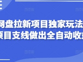 2025网盘拉新项目独家玩法,靠主项目支线做出全自动收益