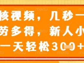 视频审核员,几秒一单,不限时间,不限地点,多做多得,新人小白一天轻松几张+【揭秘】
